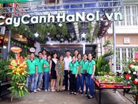 Tài Xế Lái Xe Tải Bằng B2 - giao cây cảnh nội thành HN Tài Xế Lái Xe Tải Bằng B2 - giao cây cảnh nội thành HN