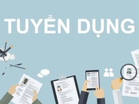 Tuyển nữ giúp việc ở cùng bà 75 tuổi nhà CC, có 2 bà cháu Tuyển nữ giúp việc ở cùng bà 75 tuổi nhà CC, có 2 bà cháu