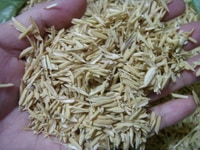 Bán vỏ trấu khô tại thanh xuân hà nội Bán vỏ trấu khô tại thanh xuân hà nội