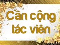 Tổng chi nhánh qua dich can 2 ban nam nữ phụ kho va bán hàng tại quầy Tổng chi nhánh qua dich can 2 ban nam nữ phụ kho va bán hàng tại quầy