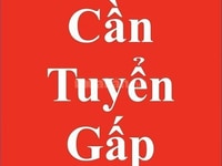 Chi nhánh Siêu Thị cần tuyển 02 nhân viên Chi nhánh Siêu Thị cần tuyển 02 nhân viên