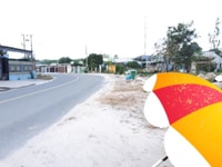 Bán gấp đất thủy sản Phước An Nhơn Trạch MT đg nhựa,giá rẻ 7ty/18000m Bán gấp đất thủy sản Phước An Nhơn Trạch MT đg nhựa,giá rẻ 7ty/18000m