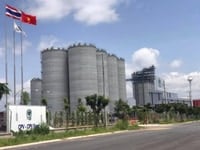 Đất Khu Công Nghiệp Becamex Chơn Thành Bình Phước giá 485 triệu Đất Khu Công Nghiệp Becamex Chơn Thành Bình Phước giá 485 triệu