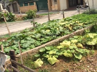 C Chủ Bán 45.8m2 Đường Ô-TÔCách Ql6 Chỉ 800m gần trường,chợ và UBND C Chủ Bán 45.8m2 Đường Ô-TÔCách Ql6 Chỉ 800m gần trường,chợ và UBND