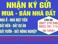 Tư vấn tách thửa và chuyển mục đích đất tại Bình Sơn Tư vấn tách thửa và chuyển mục đích đất tại Bình Sơn