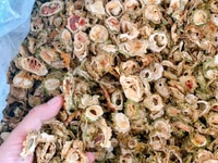 Khổ qua rừng hàng bao đẹp và chất lượng ạ Khổ qua rừng hàng bao đẹp và chất lượng ạ