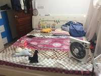 Căn hộ tt t1 ngõ phố kim ngưu quỳnh mai dt55m2 giá 6tr Căn hộ tt t1 ngõ phố kim ngưu quỳnh mai dt55m2 giá 6tr