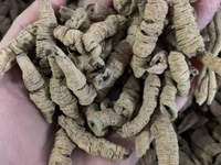 Ba kích khô nhà em tự phơi luôn ạ Ba kích khô nhà em tự phơi luôn ạ