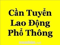 120 Công Nhân May Mặc, Giày Da Làm Việc Tại TP HCM 120 Công Nhân May Mặc, Giày Da Làm Việc Tại TP HCM