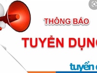 50 Nhân Viên Tài Xế Chạy Xe Tải 50 Nhân Viên Tài Xế Chạy Xe Tải