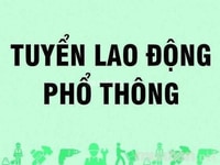 Ưu tiên người lớn tuổi - siêu thị cần 03 nhân viên bán hàng Ưu tiên người lớn tuổi - siêu thị cần 03 nhân viên bán hàng