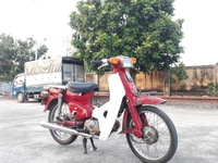 Cub DD đỏ Honda Nhật nguyên bản biển Hà Nội 29 Cub DD đỏ Honda Nhật nguyên bản biển Hà Nội 29