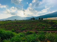Có việc bán rẻ lô đất thổ cư S=50.000m2 ngay chân đèo Preen - Đà Lạt Có việc bán rẻ lô đất thổ cư S=50.000m2 ngay chân đèo Preen - Đà Lạt