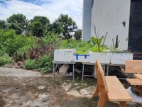 Bán đất thổ cư 5x23 chợ và kcn Thuận Đạo- Bến Lức-shr Bán đất thổ cư 5x23 chợ và kcn Thuận Đạo- Bến Lức-shr