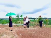 Bán đất nền sổ hồng Khu tái định cư Becamex Bán đất nền sổ hồng Khu tái định cư Becamex