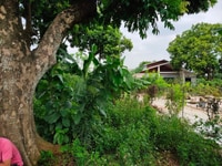 Do cần tiền nên cần bán gấp lô đất siêu đẹp tại Lương Sơn, Hòa Bình Do cần tiền nên cần bán gấp lô đất siêu đẹp tại Lương Sơn, Hòa Bình
