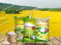 Bao bì PP dệt tráng PE in Flexo hoặc in Ống đồng nhiều màu Bao bì PP dệt tráng PE in Flexo hoặc in Ống đồng nhiều màu