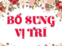 Tuyển Nam/nữ không cần bằng cấp - tại Siêu Thị Mini. Tuyển Nam/nữ không cần bằng cấp - tại Siêu Thị Mini.