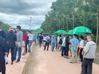 Bán đất SH- Thổ Cư Chơn Thành - Bình Phước Bán đất SH- Thổ Cư Chơn Thành - Bình Phước