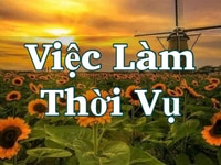 Việc làm thêm tại quận Phú Nhuận - ưu tiên cho các bạn sinh viên Việc làm thêm tại quận Phú Nhuận - ưu tiên cho các bạn sinh viên