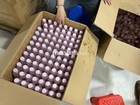 Tuyển gấp nam nữ kế toán kho, nhận việc ngay, đầy đủ chế độ+phụ cấp Tuyển gấp nam nữ kế toán kho, nhận việc ngay, đầy đủ chế độ+phụ cấp