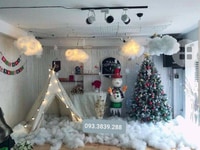 Bông Gòn Trang Trí Noel Tại HCM Bông Gòn Trang Trí Noel Tại HCM