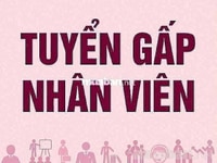 Mô tả công việc: (Mức lương: Từ 6 triệu VNĐ) - Cập nhật giá cả Mô tả công việc: (Mức lương: Từ 6 triệu VNĐ) - Cập nhật giá cả