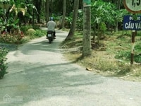 Bán mảnh đất hẻm xe hơi ấp bình trung xã Thạnh Nhựt, gò công tây Bán mảnh đất hẻm xe hơi ấp bình trung xã Thạnh Nhựt, gò công tây
