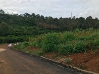 Bán Đất 2 Mặt Tiền Hẻm 6m Phan Đình Phùng, Phường 2 Bán Đất 2 Mặt Tiền Hẻm 6m Phan Đình Phùng, Phường 2