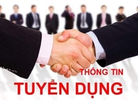 Cần 3 nữ làm việc lâu dài tại Hội An, Quảng Nam Cần 3 nữ làm việc lâu dài tại Hội An, Quảng Nam