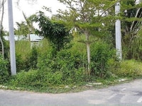 Bán nền góc đường trục chíng thuộc Tây Đô Ecopark Bán nền góc đường trục chíng thuộc Tây Đô Ecopark