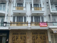 Cho thuê căn nhà cao cấp, mặt tiền đường 64, Phường 10, Quận 6