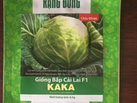 Hạt giống bắp cải chịu nhiệt Rạng Đông Hạt giống bắp cải chịu nhiệt Rạng Đông