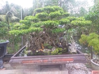Bán nhà Lũng Bắc 45m2 giá 1,390 tỷ Bán nhà Lũng Bắc 45m2 giá 1,390 tỷ