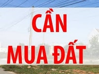 Cần mua đất lớn để làm dự án tại quận 12 Cần mua đất lớn để làm dự án tại quận 12