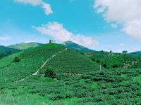 Bán vườn 6 sào tại Đại Lào, cách QL20 4,5km. giá 230tr/sào Bán vườn 6 sào tại Đại Lào, cách QL20 4,5km. giá 230tr/sào