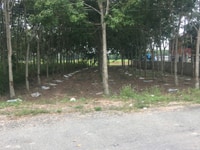 Cần Bán 5,2 hecta đất 2 mặt tiền đường nhựa Xã Hòa Hiệp Huyện Tân Biên Cần Bán 5,2 hecta đất 2 mặt tiền đường nhựa Xã Hòa Hiệp Huyện Tân Biên