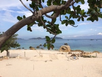 Bán đất mặt tiền BIỂN, lưng tựa núi, kế resort Ngọc Sương Cam Ranh