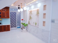 Cho thuê nhà mới xây MT đường- khu dân cư Bông Sao P5 Q8( Gần chợ Bùi Cho thuê nhà mới xây MT đường- khu dân cư Bông Sao P5 Q8( Gần chợ Bùi