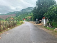 Bán đất rẫy mặt tiền đường nhựa YangBay Bán đất rẫy mặt tiền đường nhựa YangBay
