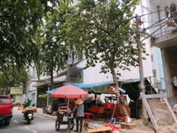 Bán lô đất cặp, đường số 5, khu dân cư Trung Sơn, 200m2 giá chỉ 22 Tỷ Bán lô đất cặp, đường số 5, khu dân cư Trung Sơn, 200m2 giá chỉ 22 Tỷ