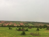 Cần bán lô 6500m2 ngay đường Liên huyện Cần bán lô 6500m2 ngay đường Liên huyện
