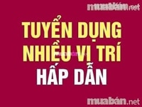 Cần Tuyển gấp nhân viên bán hàng tại các cửa hàng tiện lợi. Cần Tuyển gấp nhân viên bán hàng tại các cửa hàng tiện lợi.