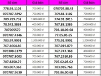 Sim phong thủy " mã đáo thành công", thích hợp làm hotline Sim phong thủy " mã đáo thành công", thích hợp làm hotline