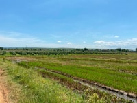 600 triệu sở hữu 10.000m2. Sổ đỏ sẵn sang tên ngay. Liền kề KDL 600 triệu sở hữu 10.000m2. Sổ đỏ sẵn sang tên ngay. Liền kề KDL