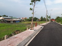 Cần bán lô đất quận 12 1800m Trần Thị Cờ Cần bán lô đất quận 12 1800m Trần Thị Cờ
