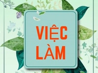 Đại lý cần nam nữ phụ bán hàng quận Bình Tân Đại lý cần nam nữ phụ bán hàng quận Bình Tân