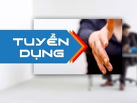 Công ty cần tuyển nhân viên văn phòng nhân sự làm việc tại công ty Công ty cần tuyển nhân viên văn phòng nhân sự làm việc tại công ty