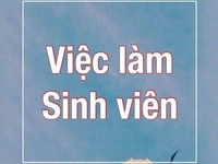 Cần nhân viên bán hàng cho đại lí Cần nhân viên bán hàng cho đại lí