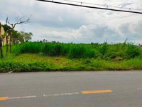 Bán đất mặt tiền tỉnh lộ 862 xã Tân Thành , Huyện Gò Công Đông Bán đất mặt tiền tỉnh lộ 862 xã Tân Thành , Huyện Gò Công Đông